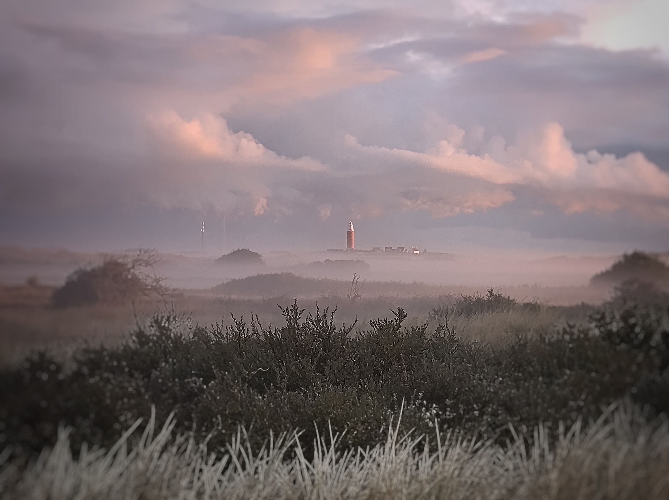 Zen.nl, Zen, meditatie, leren mediteren, foto